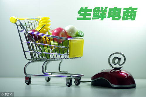 開網店如何辦理食品經營許可證 流程、要求與注意事項詳解