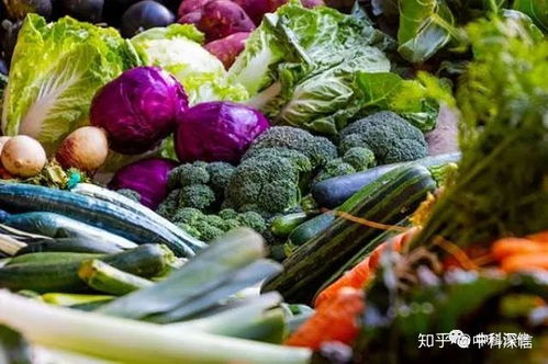 直擊現(xiàn)場 戰(zhàn)“疫”大考后的農(nóng)貿(mào)市場，后疫情時(shí)代食品經(jīng)營如何順勢發(fā)展